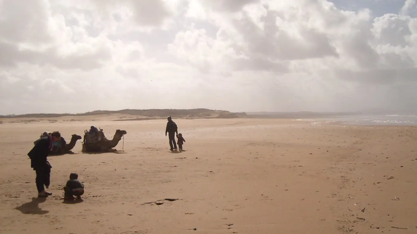 12-Day South Morocco Atlantic & Desert Camel Tracks — Coastal Beach Camels